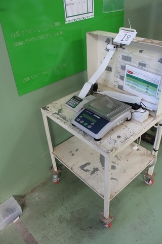 Metler Toledo 600/3100-0.5g Electronic Scales