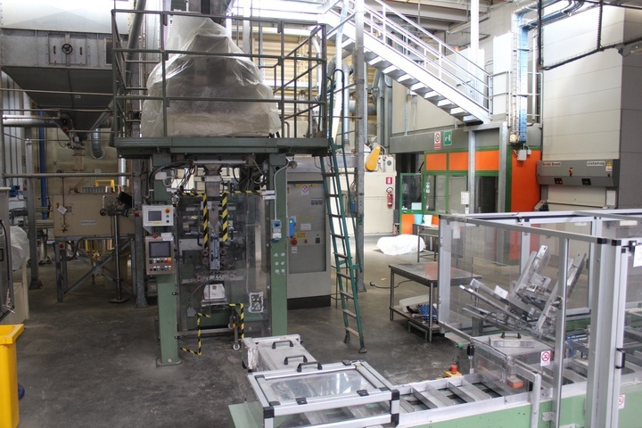 Zamboni Seed Line Comprising Lots 28A - 28F