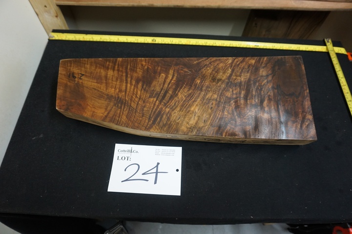 1 Piece of Exhibition Grade Turkish Walnut