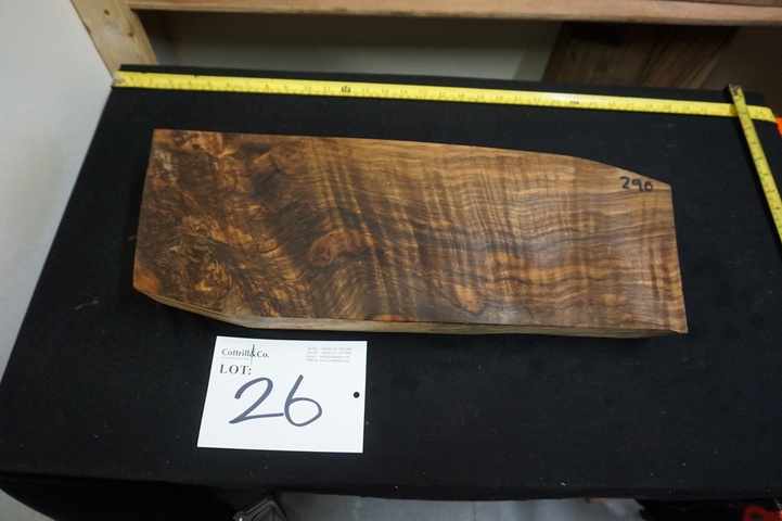 1 Piece of Exhibition Grade Turkish Walnut