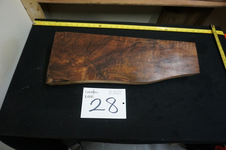 1 Piece of Exhibition Grade Turkish Walnut
