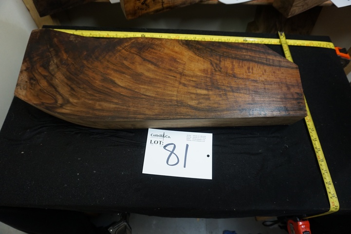 (2) Pieces of Exhibition Grade Turkish Walnut for a matched pair of stocks (2 gun stocks)