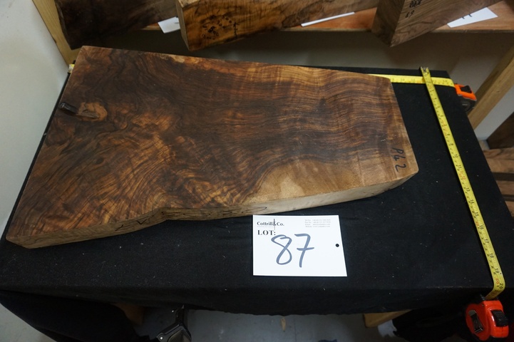 Large Piece of Exhibition Grade Turkish Walnut
