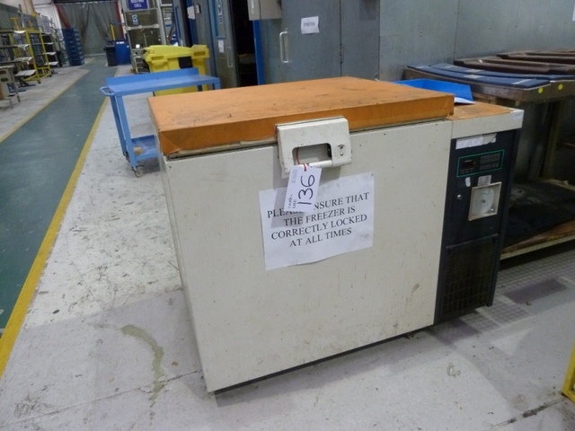 Industrial Chest Freezer