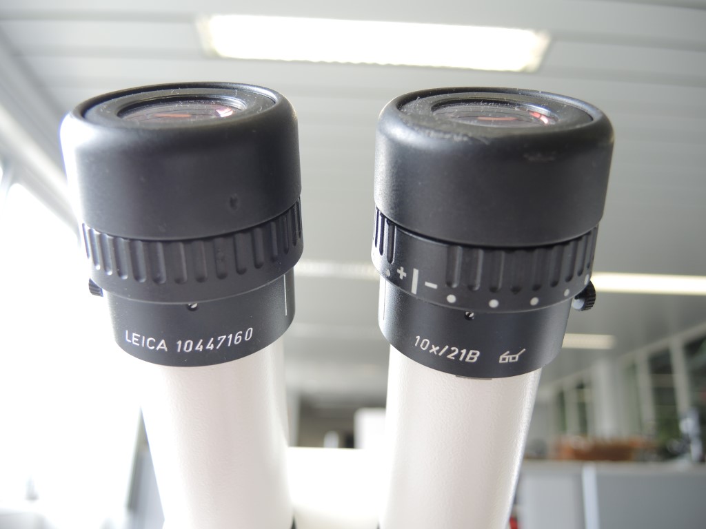 Leica MS5 Stereo Microscope