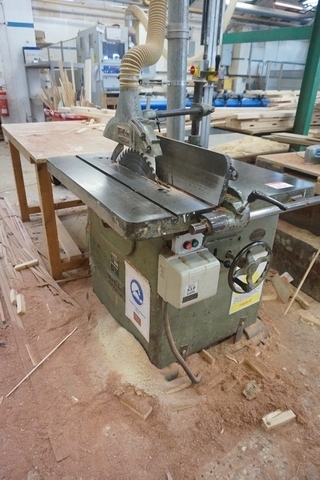 Wadkin Bursgreen Rip Saw